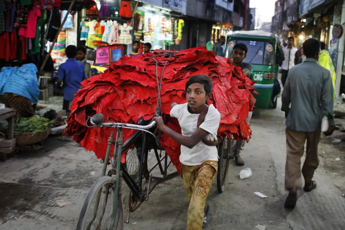 A Bangladeshi boy pulls a rickshaw loaded with strips of leather. (AP)