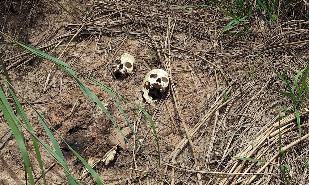 Congolese militia decapitates more than 40 police: Officials