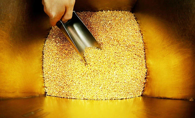 An employee takes granules of 99.99 percent pure gold before packing them at the Krastsvetmet non-ferrous metals plant in Krasnoyarsk, Russia, in this October 24, 2016 file photo. (REUTERS)