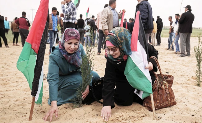 Palestinian women holding their national flag plant olive trees to mark Land Day. (AFP)