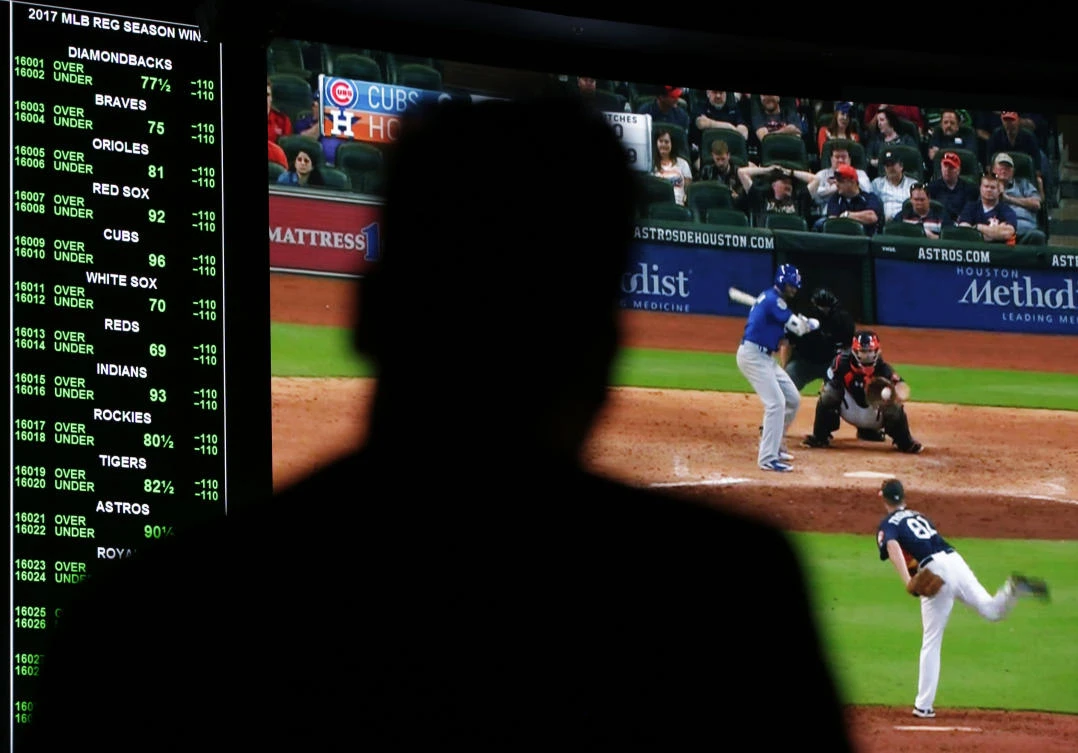 A screen shows a Chicago Cubs spring training baseball game at the Westgate Superbook sports book Friday in Las Vegas. Oddsmakers in Las Vegas predict the Cubs will successfully defend their World Series title in 2017. (AP)