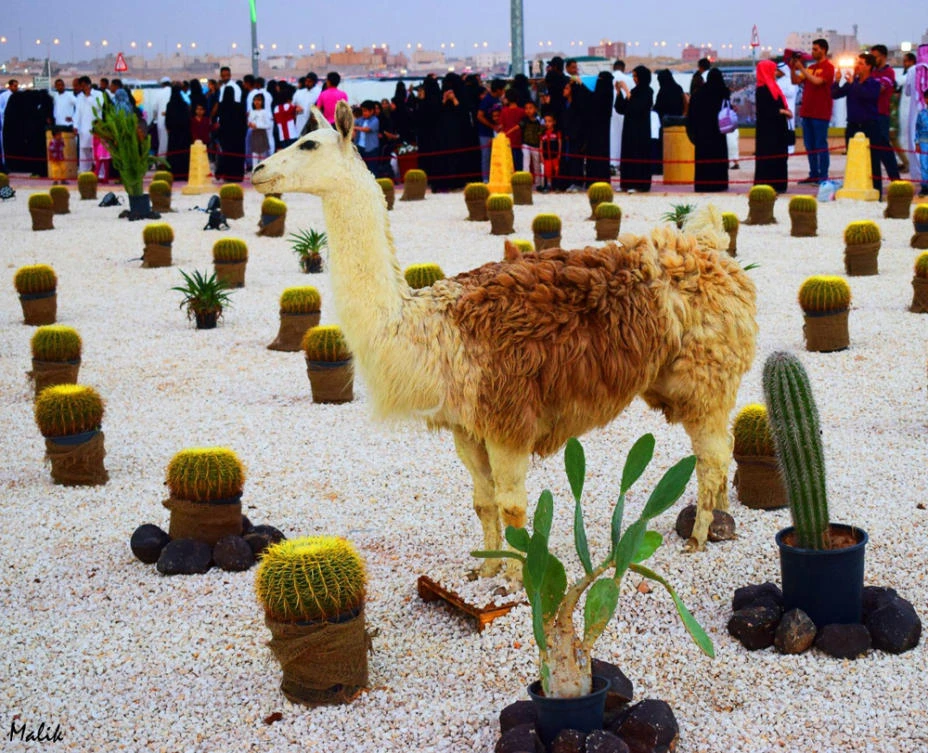 RIYADH SPRING FESTIVAL 2017