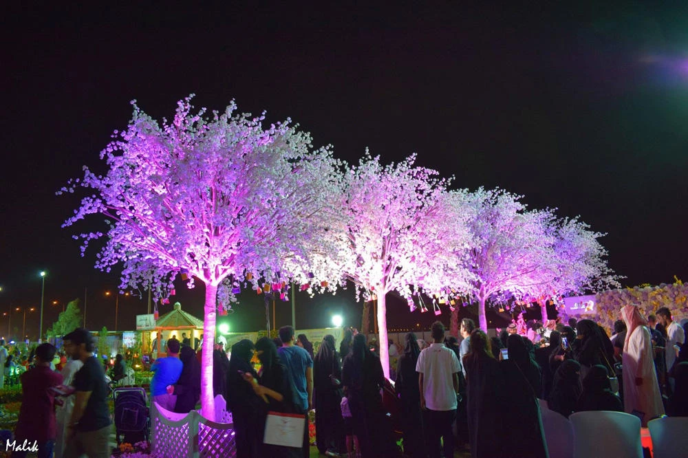 RIYADH SPRING FESTIVAL 2017