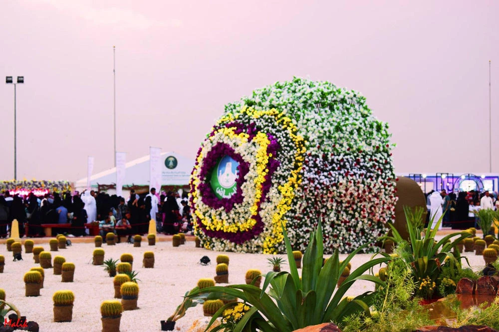 RIYADH SPRING FESTIVAL 2017