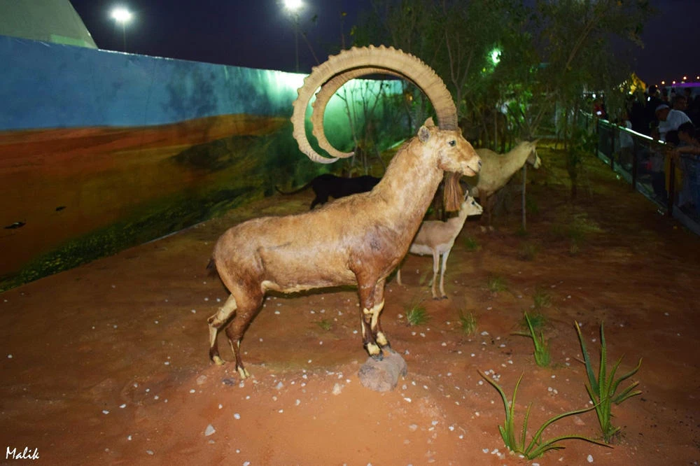 RIYADH SPRING FESTIVAL 2017