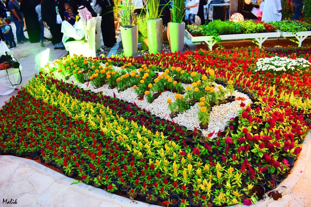RIYADH SPRING FESTIVAL 2017