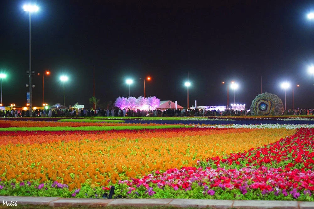 RIYADH SPRING FESTIVAL 2017