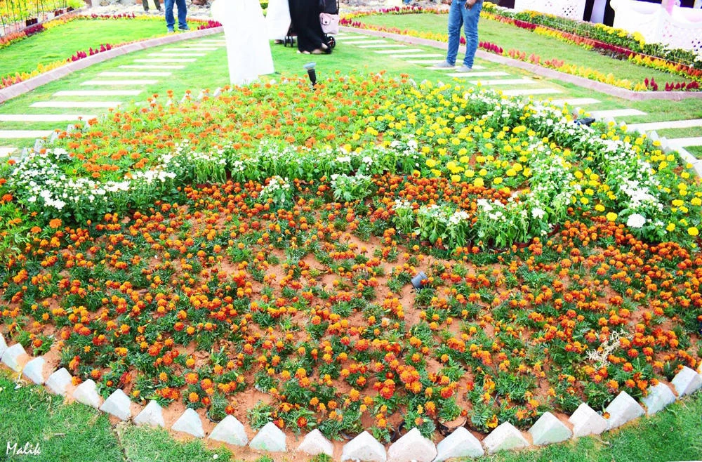 RIYADH SPRING FESTIVAL 2017