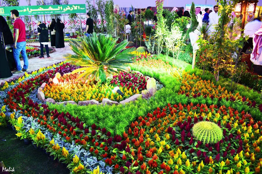RIYADH SPRING FESTIVAL 2017