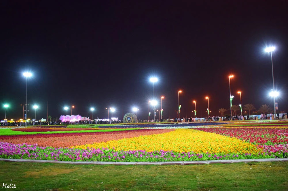 RIYADH SPRING FESTIVAL 2017