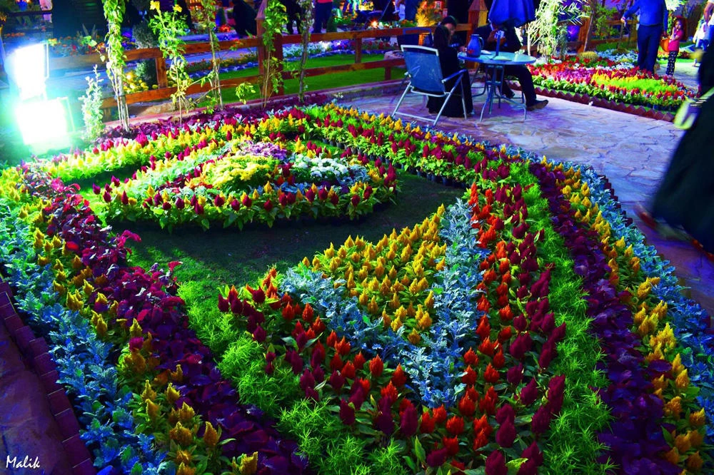 RIYADH SPRING FESTIVAL 2017