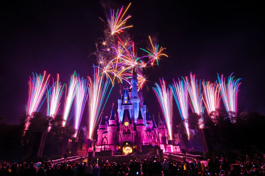 Woman chokes teen for blocking view at Disney