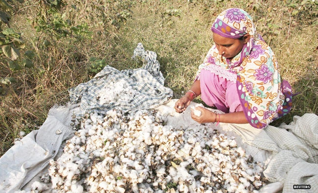 India’s landless poor can benefit from public ‘land bank’, analyst says