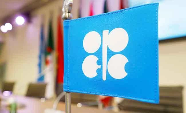 A flag with the Organization of the Petroleum Exporting Countries (OPEC) logo is seen before a news conference at OPEC's headquarters in Vienna, Austria, in this December 10, 2016 file photo. (REUTERS)