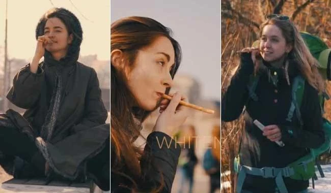 Internet brushes off Czech company for selling Miswak as trendy $5 toothbrush