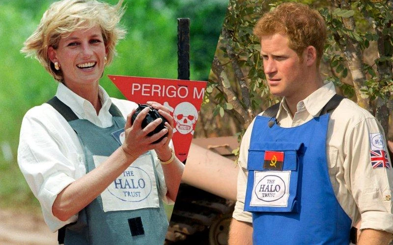 Prince Harry suffered ‘total chaos’ over Diana’s death