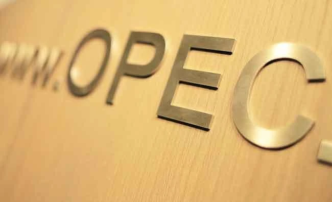 Hedge fund confidence in OPEC starts to fray