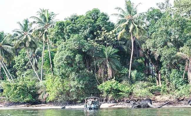 Members of the NNS Delta of the Nigerian Navy forces beach at a site where an illegal oil refinery was run on April 19, 2017 in the Niger Delta region near the city of Port Harcourt. (AFP)