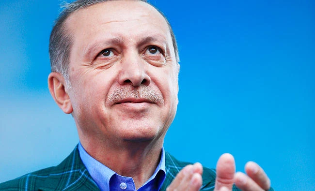 French researcher rapped over Erdogan assassination ‘incitement’