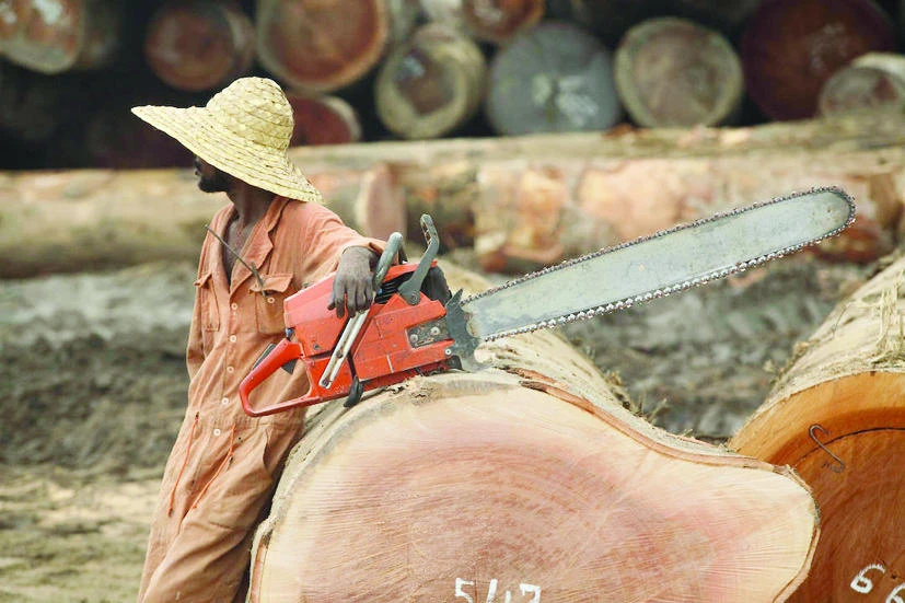 A laborer rests after cutting logs in Bandundu, DR Congo, in this file photo. (AFP)