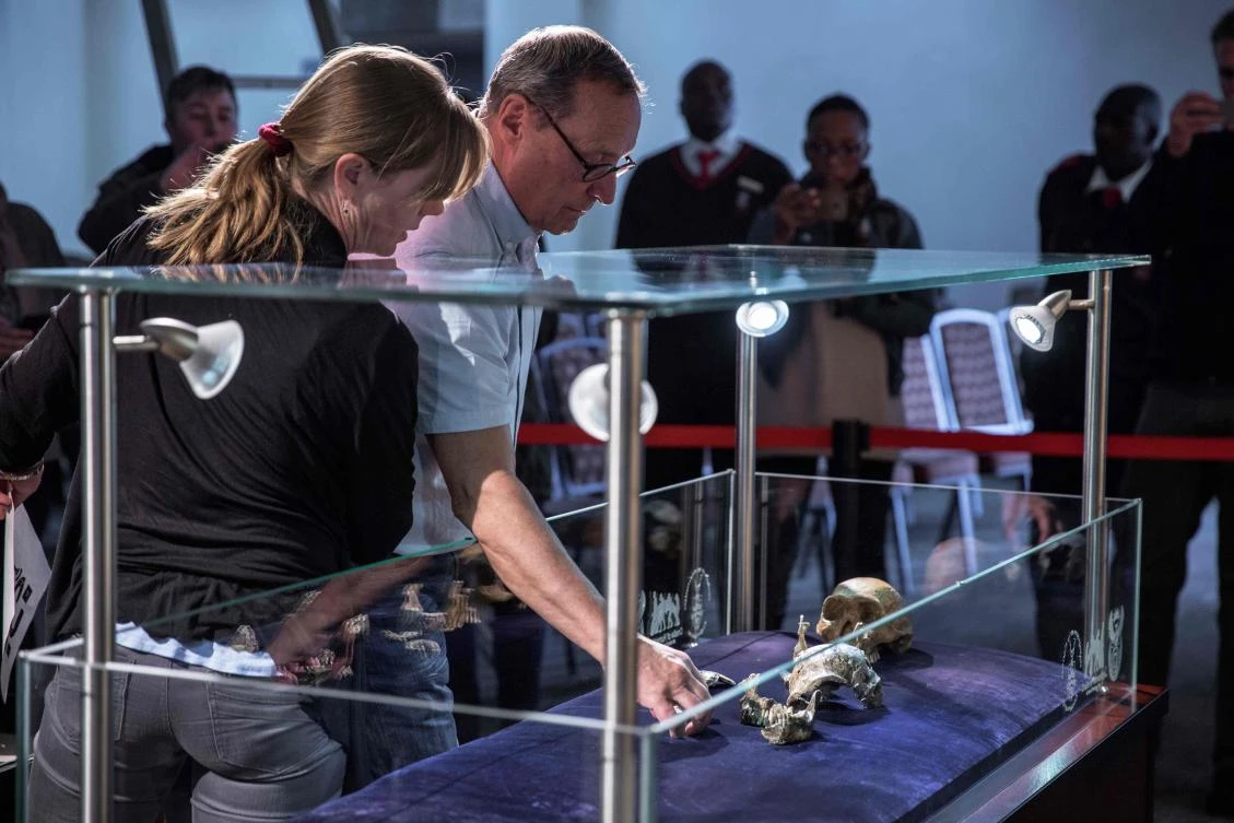 Dr Marina Elliott (L), Exploration Scientist at Witwatersrand University in Johannesburg and Dr. Peter Schmid (R) from The University of Zurich prepare "Neo", a new found fossil skeleton in the Cradle Of Human Kind area, to be displayed on May 8, 2017 in Maropeng, South Africa. (AFP / GIANLUIGI GUERCIA)