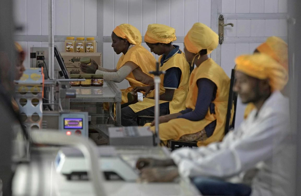 Workers at Welele honey are pictured packaging honey for sale at the companies’ main processing plant in Mekele, Ethiopia on March 30, 2017. The beehives of Ethiopia, Africa's top honey producer, make about a quarter of the continent's honey, but travellers who come to sample the liquid gold often find there isn't enough to go around. Welele sells wholesale to many European outlets and in small scale on the Ethiopian market and is currently the only company with a honey refinery in Mekele town. (AFP)