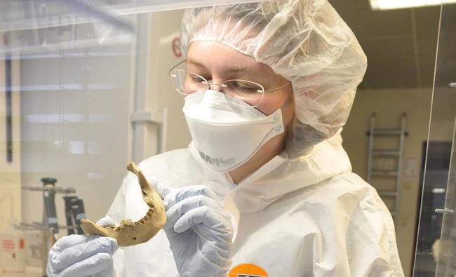 Scientist Verena Schuenemann examines the lower jaw bone of an ancient Egyptian mummy at the University of Tuebingen in Germany. (Reuters)