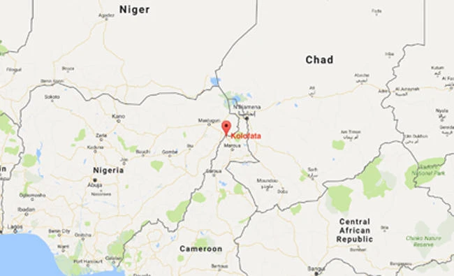 11 killed as girl suicide bombers hit camp in north Cameroon