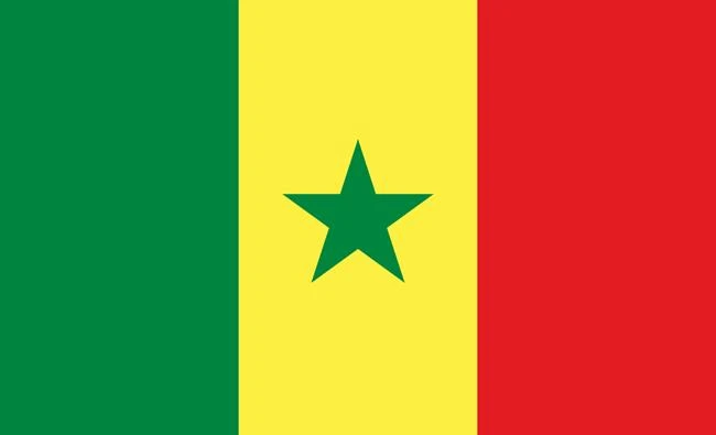 Senegal recalls Qatar envoy in solidarity with Gulf allies
