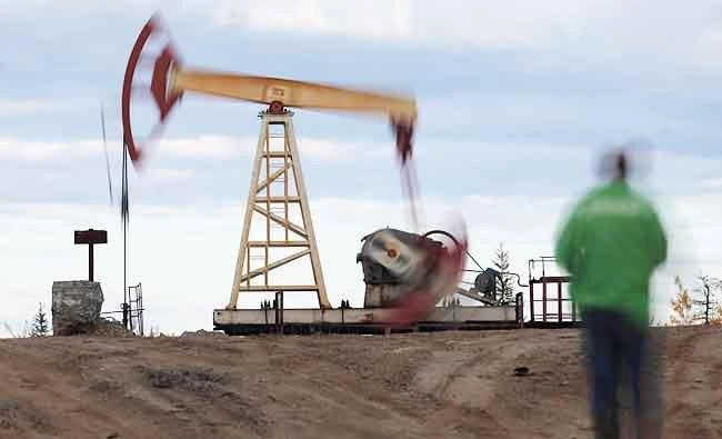 Oil prices steady despite supply glut