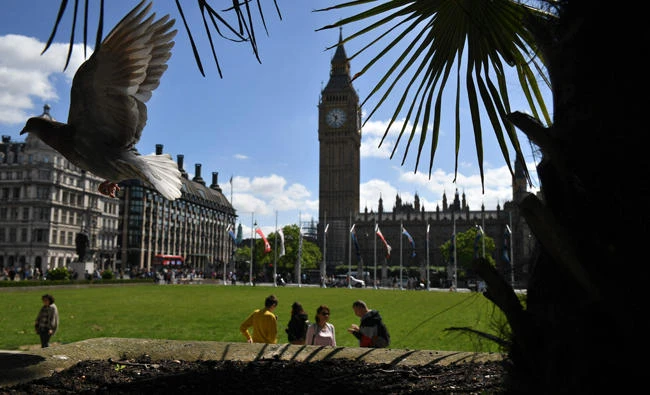 A pigeon takes off in front of the Houses of Parliament in London on Saturday. Bloodied by an election gamble that backfired and triggered calls for her resignation, Prime Minister Theresa May stood by her vow to form Britain's next government and lead the country out of the European Union. (AFP / Justin Tallis)