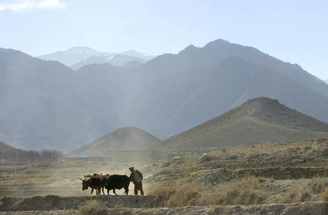 Daesh capture Tora Bora. (AP)