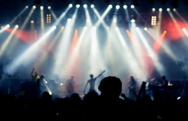 Man arrested near Dutch concert suspected of ‘terror’ crime.(AFP)