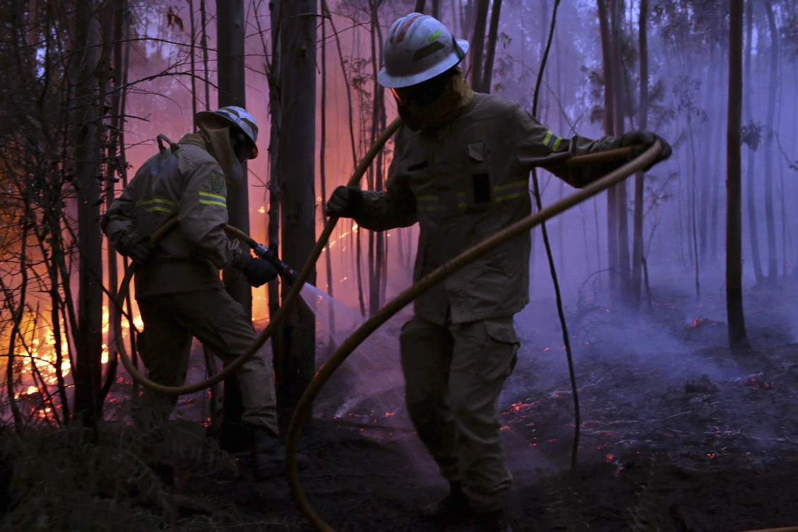 Portuguese National Republican Guard firefighters work to stop a forest fire from reaching the village of Avelar, central Portugal, at sunrise Sunday, June 18 2017. A number of people have been killed in forest fires in central Portugal, many of them trapped in their cars as flames swept over a road Saturday evening. (AP)