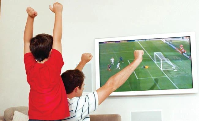 Saudi-Egyptian sports alliance to replace blocked Qatari beIN Sports