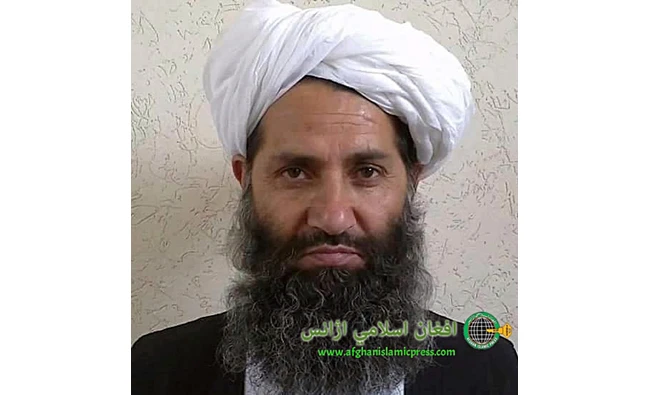 The leader of the Afghanistan Taliban Maulvi Haibatullah Akhunzadah poses for a portrait. (AP)