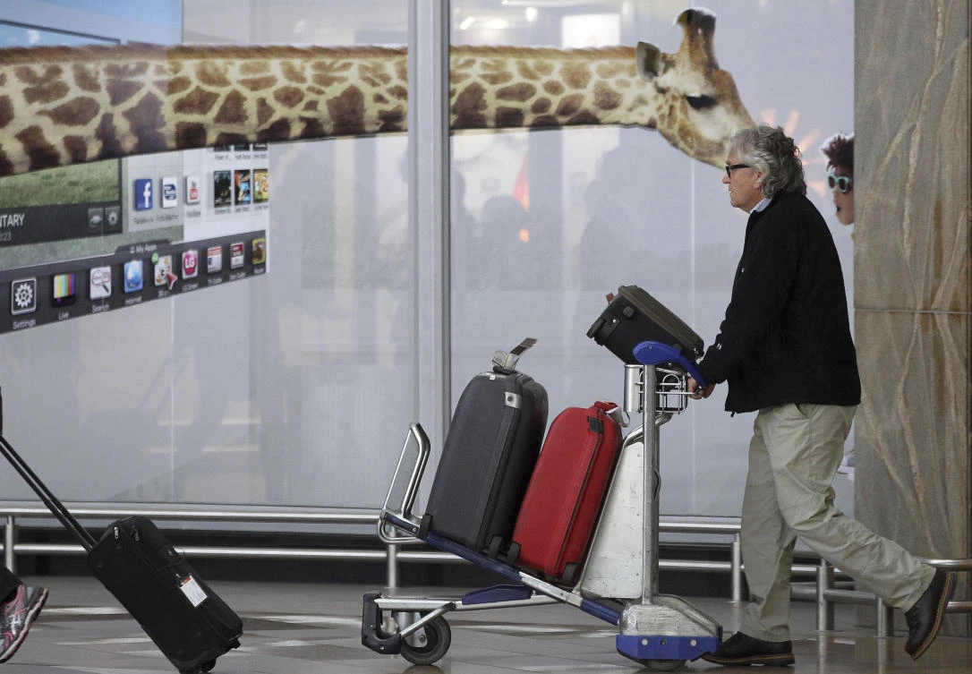 Authorities in South Africa are investigating if any workers at Johannesburg’s main international airport have helped robbers. (AP)