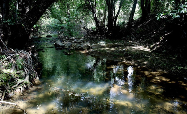 A partial view of the Bisri river in the Bisri Valley, south of Beirut, in this file photo. (AFP)