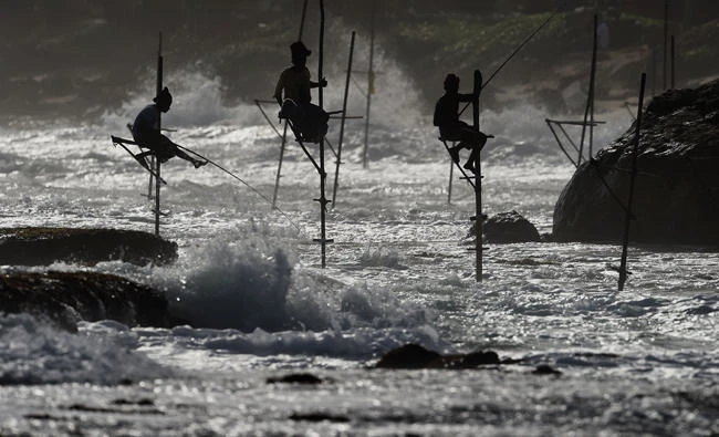 Sri Lankan stilt fishermen working on poles in the southern town of Galle, Sri Lanka. (AFP)