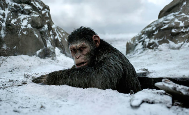 A scene from “War for the Planet of the Apes.”