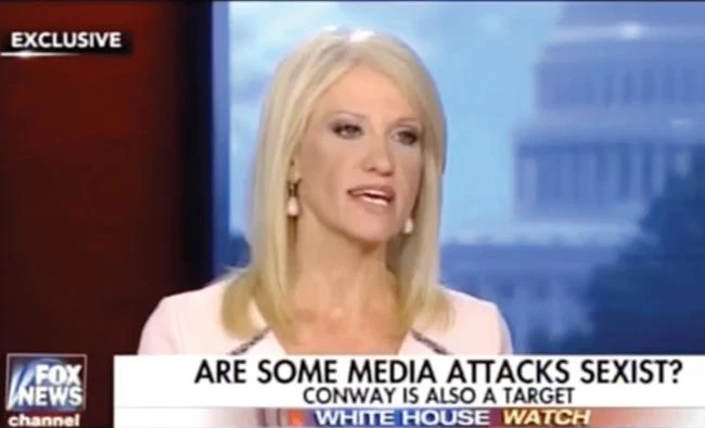 A screengrab from a TV show of senior White House adviser Kellyanne Conway.