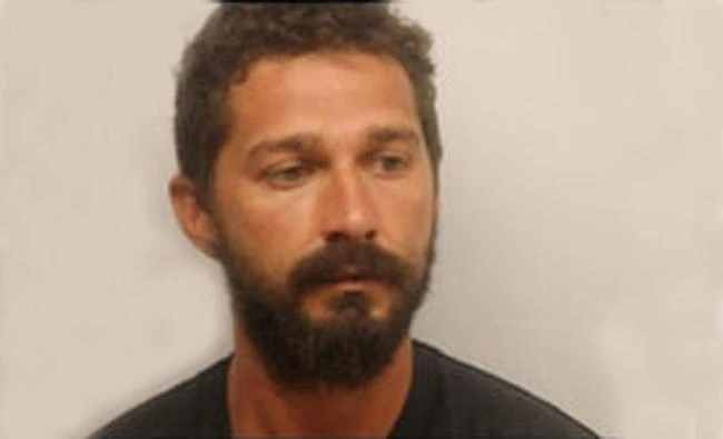 Actor Shia LaBeouf is pictured in this police booking photo in Savannah, Georgia, on July 8, 2017. (Chatham County Sheriff's Office/Handout via Reuters)
