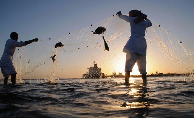 A fisherman checks his net for the day's catch as an oil tanker is seen in the distance near the port in the north-western Saudi city of Duba. The government’s fish farming company has signed deals with four local companies to inject SR800 million into fish farming. (REUTERS file photo)
