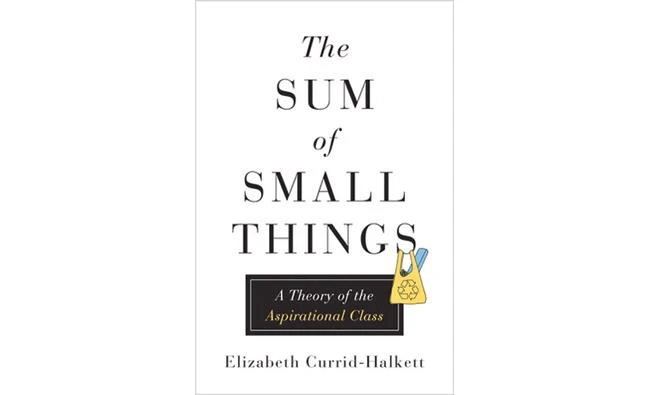 The Sum of Small Things: A Theory of the Aspirational Class.