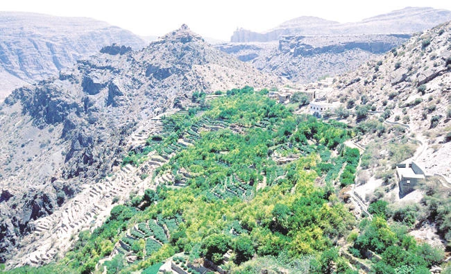 Jebel Akhdar