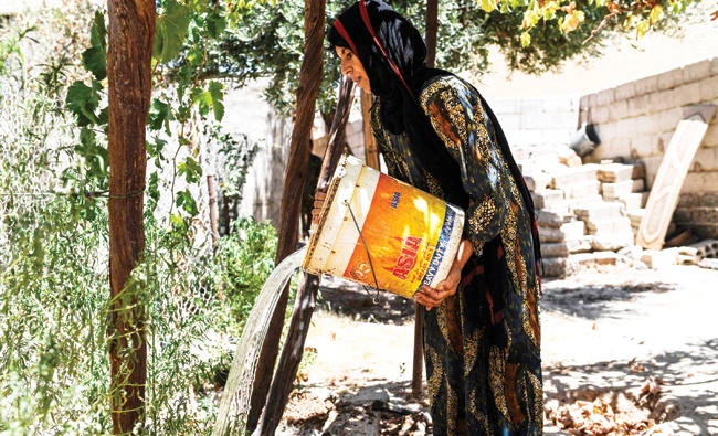 Warda Al-Jassem waters her grape vine, upon returning to her home. (AFP)