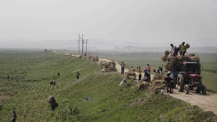 North Korea is facing its worst drought in more than a decade. (AP)