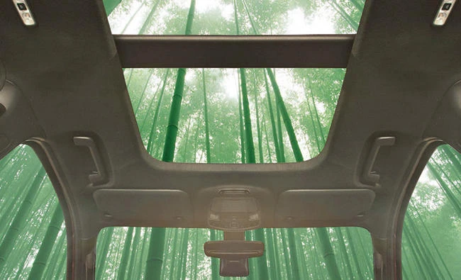 Ford likely to use bamboo in cars