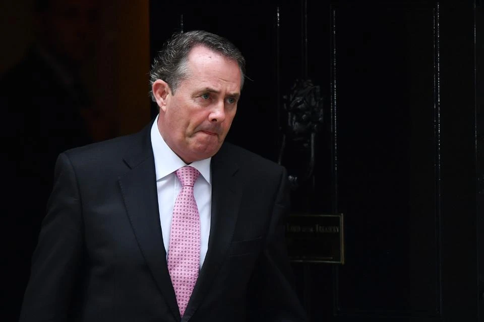 Britain's International Trade Secretary Liam Fox leaves 10 Downing street after a cabinet meeting in central London on July 11, 2017. (AFP)