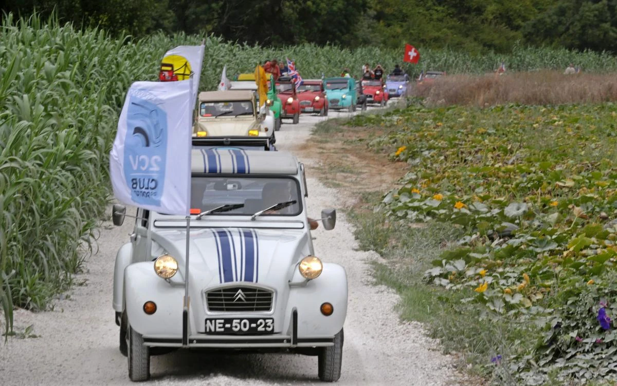 Cars parade through the country side between Ericeira and Mafra during the World 2017 2CV Meeting July 30, 2017. The event is held between the 26th and the 31st of July 2017, 30 years after Portugal hosted the seventh 2CV World Meeting in 1987, and will include activities ranging from an open air fair, a competition to disassemble and reassemble, an "elegance" contest for original and modofied 2CV's, a chimes concert, to a short term 2CV museum hosted by the Marfa national palace featuring vehicles from the Citroen Heritage collection purposely brought from Paris. / AFP / JOSE MANUEL RIBEIRO